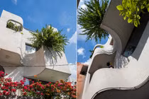 Mãn nhãn nhà ống sở hữu đường cong mềm mại giữa lòng Sài Gòn