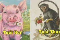 3 con giáp nữ vượng phúc, vượng thọ, về hậu vận càng nhiều lộc 