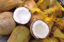 Loại dừa giá lên tới 300.000 đồng/quả có gì đặc biệt?