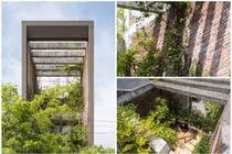 “Xuýt xoa” nhà ống mà đẹp như resort nhờ cây xanh mướt ở Bắc Ninh