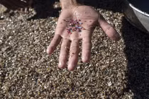 Cảnh khai thác đá quý siêu đắt đỏ ở Myanmar