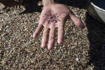 Cảnh khai thác đá quý siêu đắt đỏ ở Myanmar