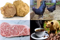 6 món ăn chỉ dành cho giới thượng lưu đắt cỡ nào?