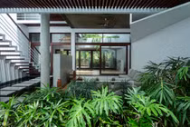Nhà phố xanh mát, bình yên như giữa rừng nhiệt đới ai cũng muốn ở
