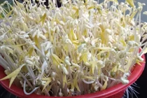 Thực phẩm làm dịu cổ họng khi ho