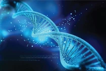 Người lành mang gene bệnh