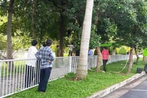 Người đàn ông treo cổ trong khuôn viên sân bay Tân Sơn Nhất