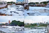 Ảnh: “Tuyết trắng” phủ kín kênh rạch sau cơn mưa đầu mùa ở SG