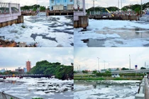 Ảnh: “Tuyết trắng” phủ kín kênh rạch sau cơn mưa đầu mùa ở SG