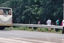 Tiểu tiện bừa bãi trên cao tốc sẽ bị công khai hình ảnh