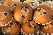 Mãn nhãn với đủ loại trái cây ngoại giá “khủng” ở Sài Gòn