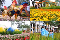 Lộng lẫy đường hoa Tết 2017 ở KĐT hiện đại nhất SG