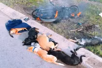 Dân vây đánh, đốt cháy xe máy của 2 kẻ trộm chó