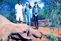 Phạm Hương, Lệ Hằng lặng người khi chứng kiến voi bị giết ở Kenya