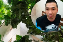 Soi loạt biệt thự “khủng” dùng làm xưởng chế ma túy giữa Sài Gòn