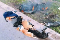 Dân vây đánh, đốt cháy xe máy của 2 kẻ trộm chó