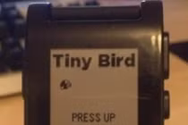 Điểm tin: Flappy Bird “hồi sinh” trên Pebble Smartwatch