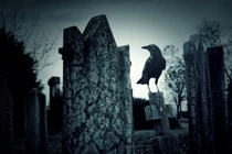 Huyền thoại về 7 loài chim lạ kỳ trên thế giới 