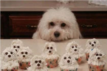 Những chiếc bánh cupcake đầy "cảm xúc"