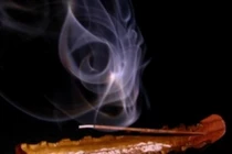 Muôn chiêu trị độc có 1-0-2 của loài người