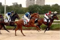 Độc chiêu kiếm tiền mới của trùm cá cược TQ