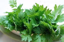 Chuẩn bị sẵn nắm ngải cứu trong nhà, cả mùa đông sẽ không lo bị bệnh 