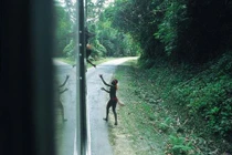 Thảm kịch “vườn thú người” trên đảo tử thần?