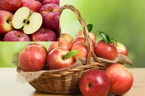 Khuyến cáo ăn nhiều hạt táo dễ ngộ độc nguy hiểm tính mạng