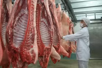 Chăn nuôi lợn: Vượt Trung Quốc, Thái Lan, Việt Nam chiếm đỉnh