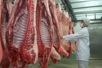 Chăn nuôi lợn: Vượt Trung Quốc, Thái Lan, Việt Nam chiếm đỉnh