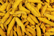 Những lí do để hạn chế sử dụng nghệ