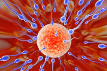 Cải thiện chất lượng 'tinh binh' nhờ chế độ ăn