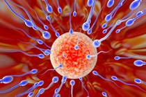 Cải thiện chất lượng 'tinh binh' nhờ chế độ ăn