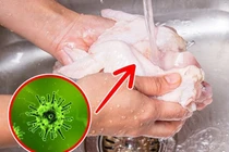 Tại sao không nên rửa thịt gà trước khi nấu?