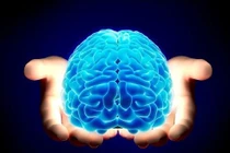 7 thói quen nhiều người mắc gây tổn thương não bộ nghiêm trọng