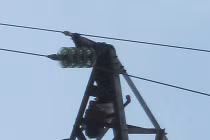 Xác chết 15 ngày vắt vẻo trên cột điện cao thế 50m