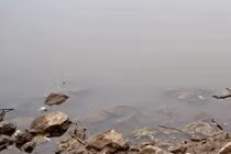 Kinh hoàng thi thể nữ bị cắt rời nổi trên mặt nước