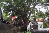 Cùng quẫn người đàn ông treo cổ trước mộ cha