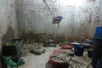 Mực ôi thối bỗng tươi rói sau khi được tẩy bằng hóa chất