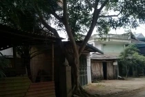 GĐ trung tâm bồi dưỡng chính trị huyện treo cổ tự tử