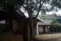 GĐ trung tâm bồi dưỡng chính trị huyện treo cổ tự tử