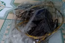 Đột tử khi sờ vào chó chết