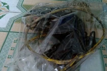 Đột tử khi sờ vào chó chết