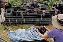 Những động vật khiến hàng trăm người nhỏ lệ