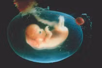 Bí mật sửng sốt về 9 loại nước trong cơ thể người 