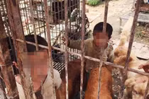 Bố mẹ ly dị, 2 con sống trong lồng chó, giành ăn với chó