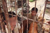 Bố mẹ ly dị, 2 con sống trong lồng chó, giành ăn với chó