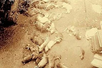 Khủng bố hàng xóm bằng... 50 con chuột chết