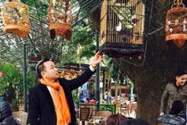 Chim chào mào tiền tỷ của ông chủ hiệu may Chương Tailor