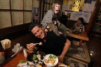 Chú "khỉ hầu bàn" tại quán ăn Nhật gây sốt